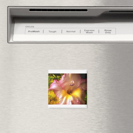 Bloomroze gloeidraad magneet (Insitu (Vaatwasser))