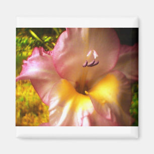 Bloomroze gloeidraad magneet