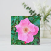 Bloomroze roze rozenbloem - Birthday Greeting Kaart (Staand voorkant)