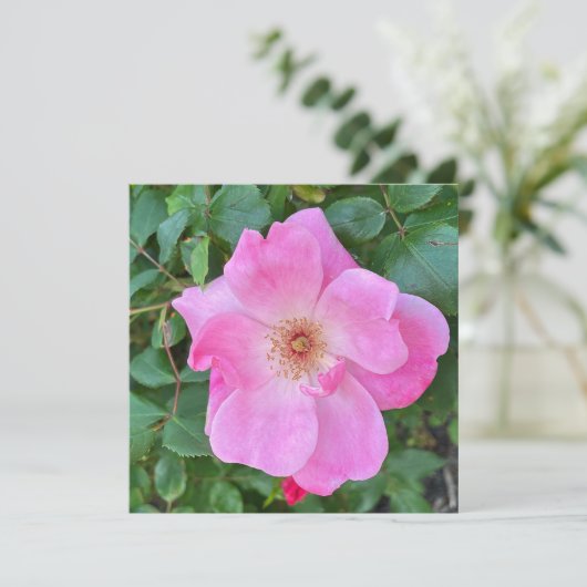 Bloomroze roze rozenbloem - Birthday Greeting Kaart (Staand voorkant)