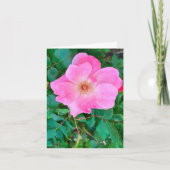 Bloomroze roze rozenbloem Wenskaart op de geboorte Kaart (Voorkant)