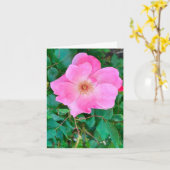 Bloomroze roze rozenbloem Wenskaart op de geboorte Kaart (Gele Bloem)
