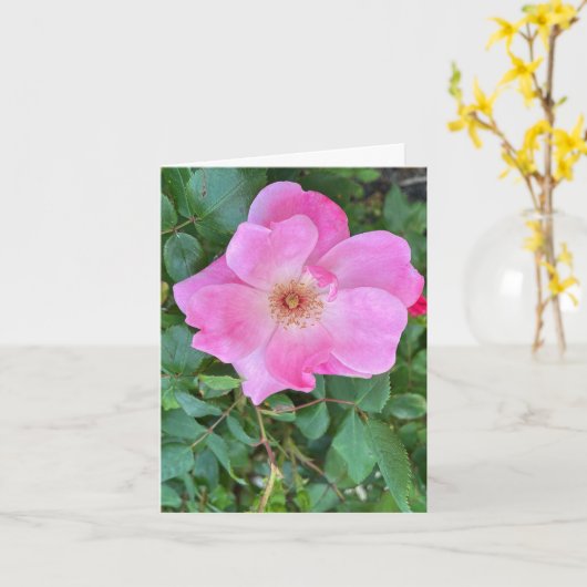 Bloomroze roze rozenbloem Wenskaart op de geboorte Kaart (Gele Bloem)