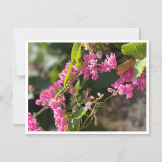 Blooms & Stings Briefkaart