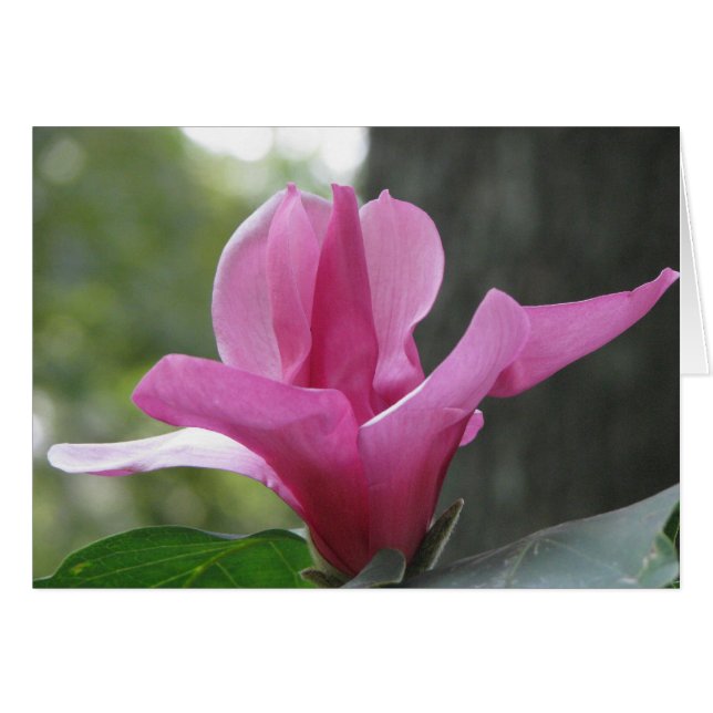 Bloomstructuur (Voorkant Horizontaal)