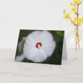 Bloos de Kaart van de Hibiscus (Gele Bloem)