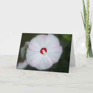 Bloos de Kaart van de Hibiscus