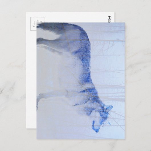 Blootgestelde Wolf Briefkaart (Voorkant / Achterkant)