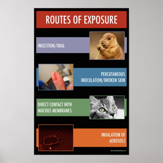 Blootstellingsveiligheidsinformatieweg Poster (Voorkant)