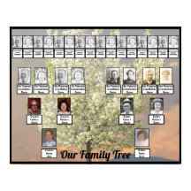 Blossingboom - foto van twee families | Roze zonne