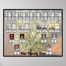 Blossingboom - foto van twee families | Roze zonne Poster