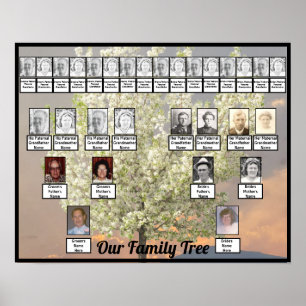 Blossingboom - foto van twee families   Roze zonne Poster