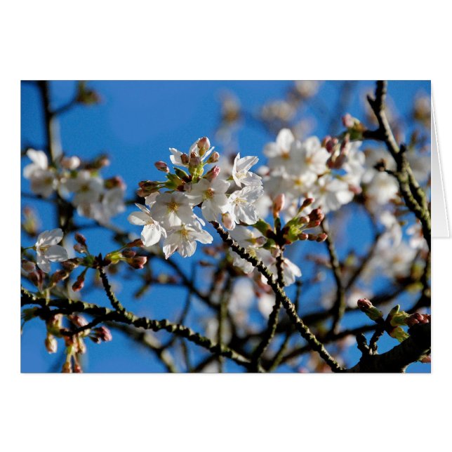 Blossingenkaart (Voorkant Horizontaal)