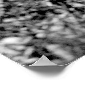 Blossom 2 poster (Hoek)