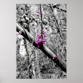 Blossom 2 poster (Voorkant)