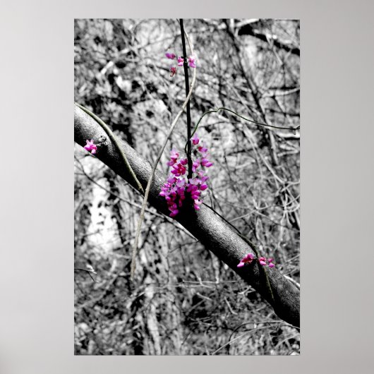 Blossom 2 poster (Voorkant)