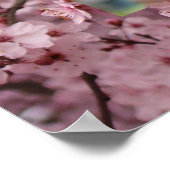 Blossom Art roze Spring Tree Prints (Hoek)