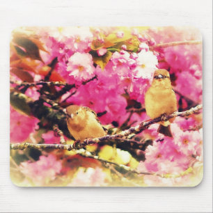 Blossom Birdies Muismat