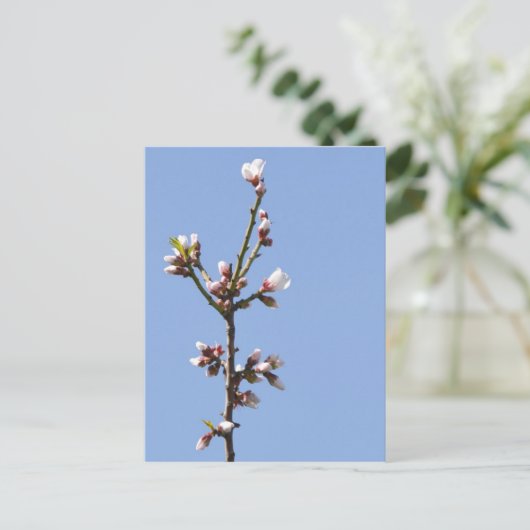 Blossom Branch Briefkaart (Staand voorkant)