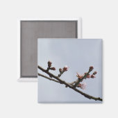 Blossom Branch Magnet (Voorkant / Achterkant)
