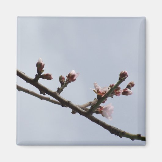Blossom Branch Magnet (Voorkant)