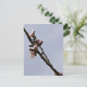 Blossom Briefkaart (Staand voorkant)