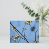 Blossom Briefkaart (Staand voorkant)