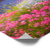 Blossom Crest Poster (Hoek)