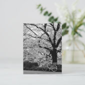 Blossom en fiets: Japan Briefkaart (Staand voorkant)