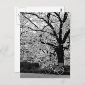 Blossom en fiets: Japan Briefkaart (Voorkant / Achterkant)