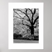 Blossom en fiets: Japan Poster (Voorkant)