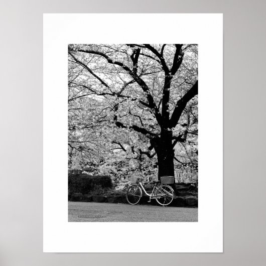 Blossom en fiets: Japan Poster (Voorkant)