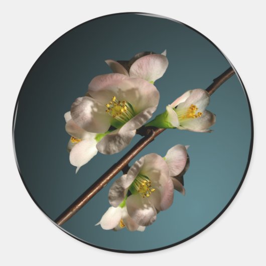 Blossom Envelope Seal Ronde Sticker (Voorkant)