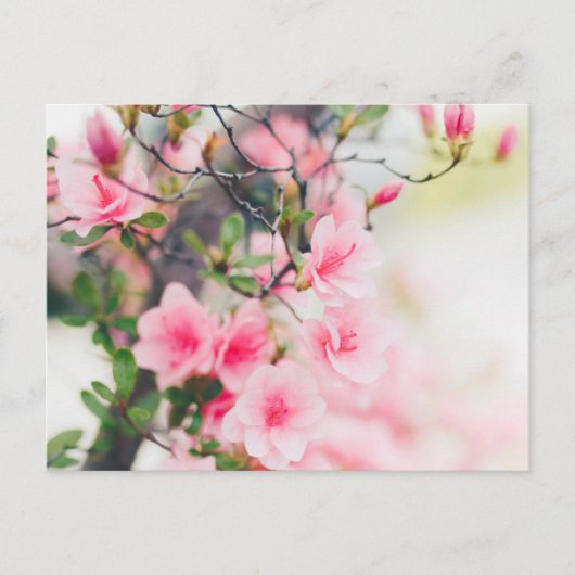 BLOSSOM FLOWER BRIEFKAART (Voorkant)