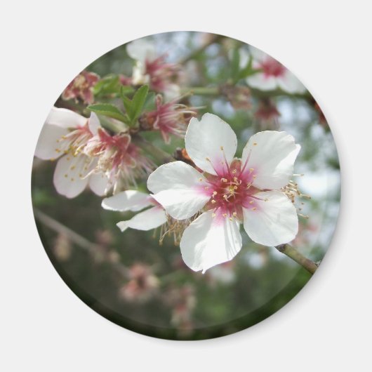 Blossom Flower Magnet (Voorkant)