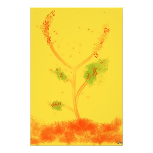 BLOSSOM FOTO AFDRUK (Voorkant)