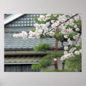 Blossom in de regen poster (Voorkant)