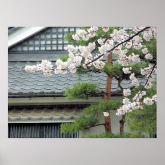 Blossom in de regen poster