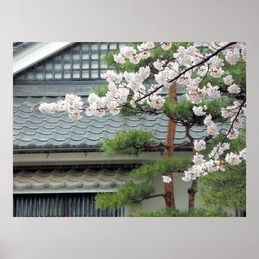 Blossom in de regen poster (Voorkant)