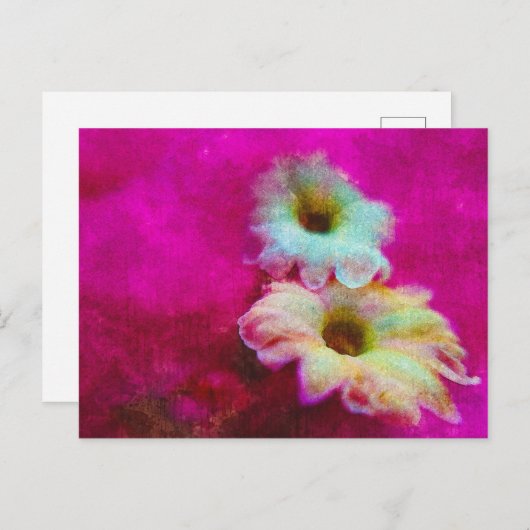 Blossom in roze briefkaart (Voorkant / Achterkant)