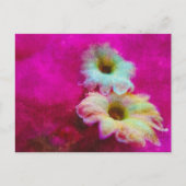 Blossom in roze briefkaart (Voorkant)