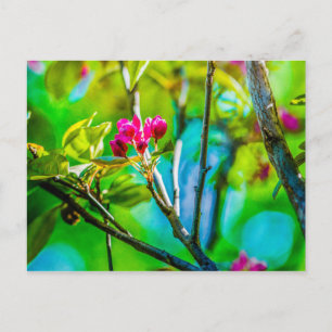 Blossom Inside Briefkaart