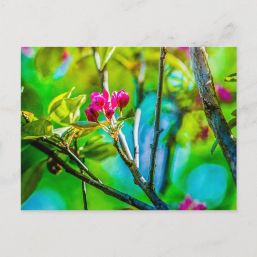 Blossom Inside Briefkaart (Voorkant)