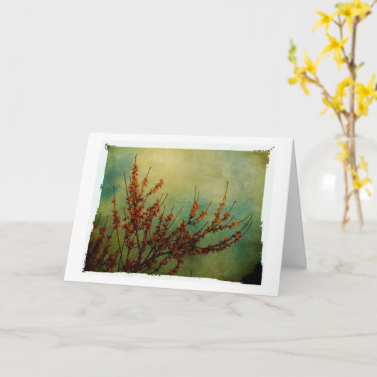 Blossom, kom snel goed kaart (Gele Bloem)