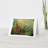 Blossom, kom snel goed kaart (Voorkant)