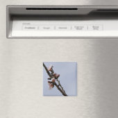 Blossom Magnet (Insitu (Vaatwasser))