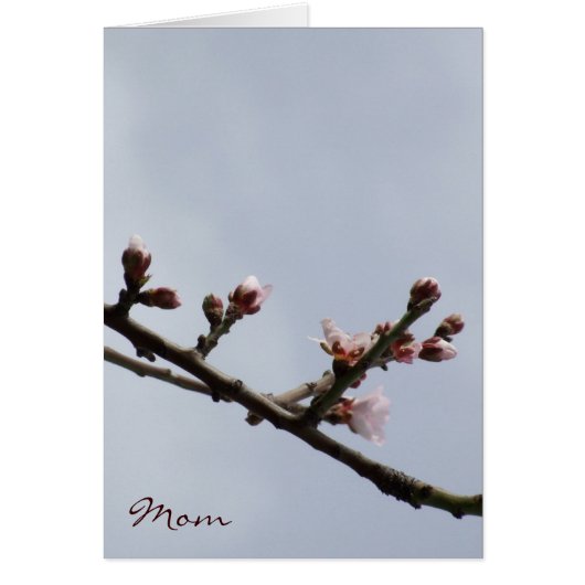 Blossom-Moederdag (Voorkant)