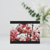 Blossom Post Card Briefkaart (Staand voorkant)