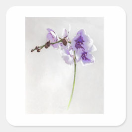 BLOSSOM PRINT STICKER