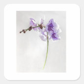 BLOSSOM PRINT STICKER (Voorkant)